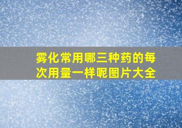 雾化常用哪三种药的每次用量一样呢图片大全