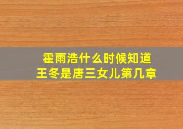 霍雨浩什么时候知道王冬是唐三女儿第几章