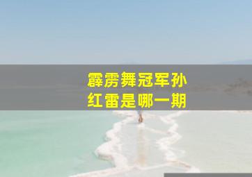 霹雳舞冠军孙红雷是哪一期