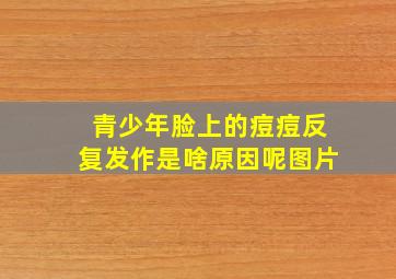 青少年脸上的痘痘反复发作是啥原因呢图片