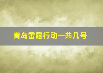 青岛雷霆行动一共几号