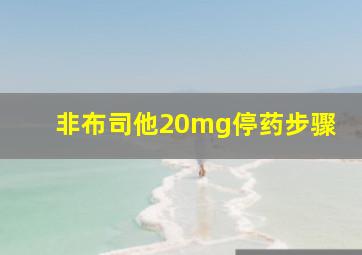 非布司他20mg停药步骤