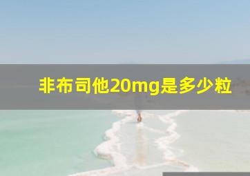 非布司他20mg是多少粒