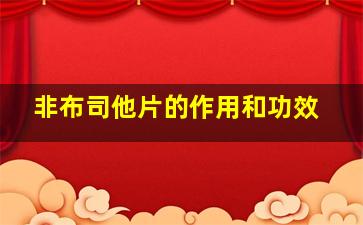 非布司他片的作用和功效