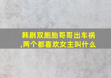 韩剧双胞胎哥哥出车祸,两个都喜欢女主叫什么