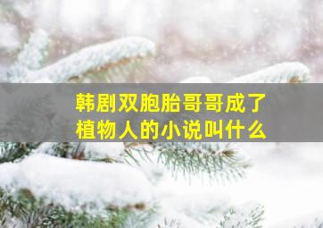 韩剧双胞胎哥哥成了植物人的小说叫什么