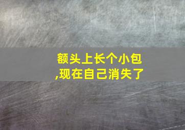 额头上长个小包,现在自己消失了