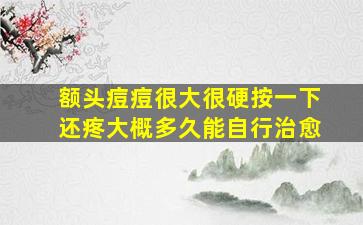 额头痘痘很大很硬按一下还疼大概多久能自行治愈