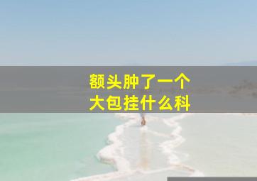 额头肿了一个大包挂什么科