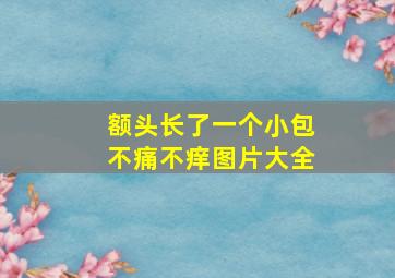 额头长了一个小包不痛不痒图片大全