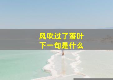 风吹过了落叶下一句是什么