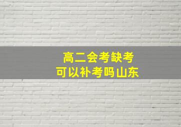 高二会考缺考可以补考吗山东