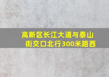 高新区长江大道与泰山街交口北行300米路西