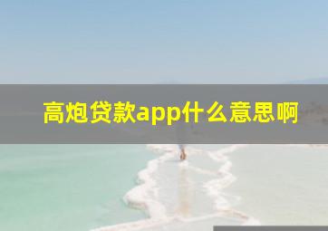 高炮贷款app什么意思啊