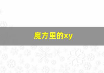 魔方里的xy