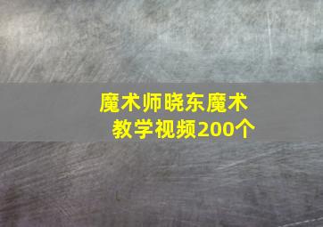 魔术师晓东魔术教学视频200个