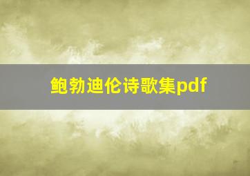 鲍勃迪伦诗歌集pdf