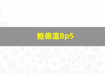 鲍德温Bp5