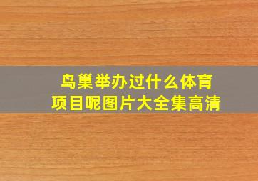 鸟巢举办过什么体育项目呢图片大全集高清