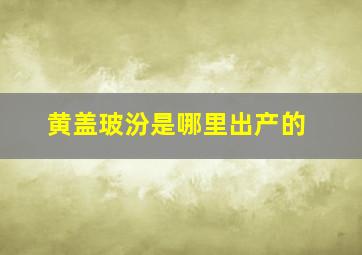 黄盖玻汾是哪里出产的