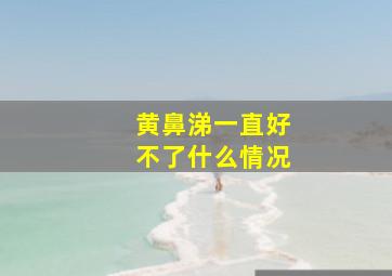 黄鼻涕一直好不了什么情况