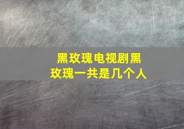 黑玫瑰电视剧黑玫瑰一共是几个人