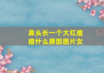 鼻头长一个大红痘痘什么原因图片女