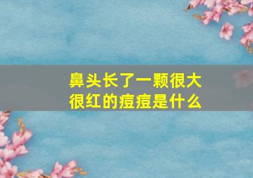 鼻头长了一颗很大很红的痘痘是什么