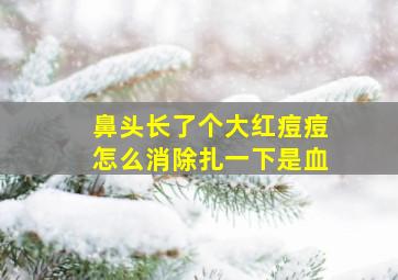 鼻头长了个大红痘痘怎么消除扎一下是血