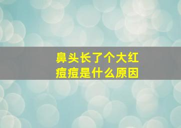 鼻头长了个大红痘痘是什么原因