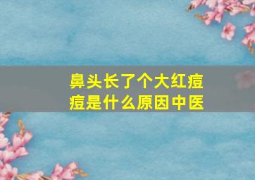 鼻头长了个大红痘痘是什么原因中医