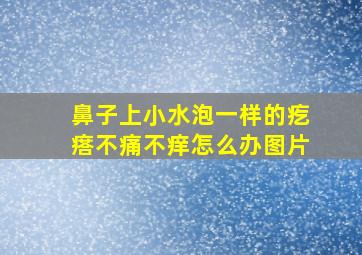 鼻子上小水泡一样的疙瘩不痛不痒怎么办图片