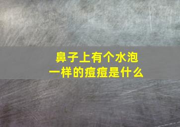 鼻子上有个水泡一样的痘痘是什么