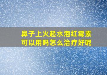 鼻子上火起水泡红霉素可以用吗怎么治疗好呢