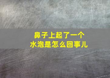 鼻子上起了一个水泡是怎么回事儿