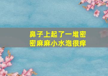 鼻子上起了一堆密密麻麻小水泡很痒