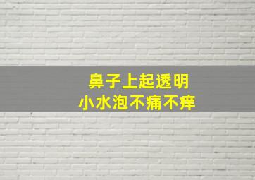 鼻子上起透明小水泡不痛不痒