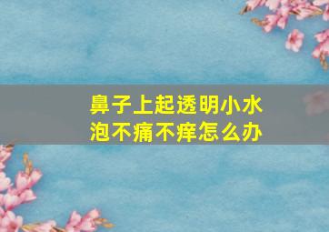 鼻子上起透明小水泡不痛不痒怎么办