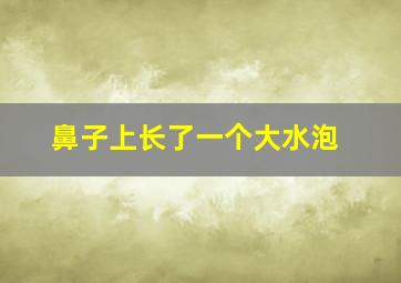 鼻子上长了一个大水泡