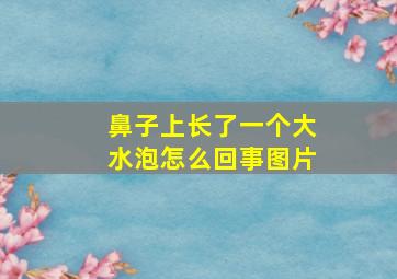 鼻子上长了一个大水泡怎么回事图片