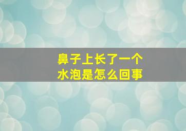 鼻子上长了一个水泡是怎么回事