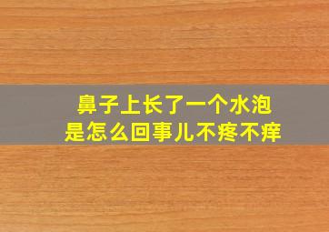 鼻子上长了一个水泡是怎么回事儿不疼不痒