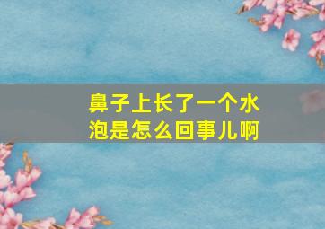 鼻子上长了一个水泡是怎么回事儿啊