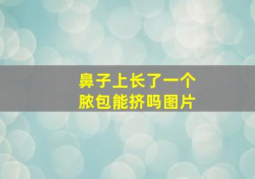 鼻子上长了一个脓包能挤吗图片