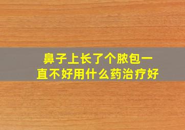 鼻子上长了个脓包一直不好用什么药治疗好