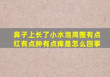 鼻子上长了小水泡周围有点红有点肿有点痒是怎么回事