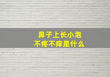 鼻子上长小泡不疼不痒是什么