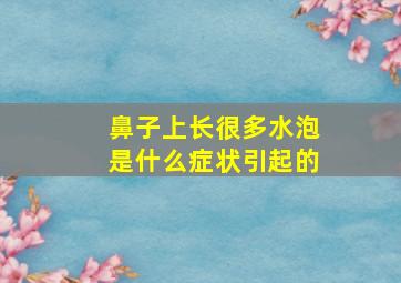 鼻子上长很多水泡是什么症状引起的