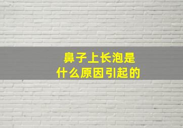 鼻子上长泡是什么原因引起的