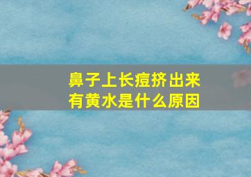 鼻子上长痘挤出来有黄水是什么原因